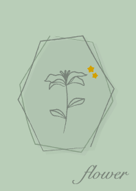 花 <星> 開心果綠