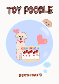 Hareruki of happy toy poodle birthday