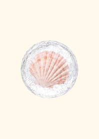 "Bead" Plump-Glass Bead-Seashell2