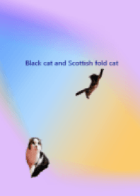 黑貓和蘇格蘭折耳貓-