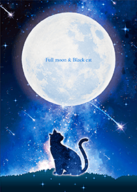 幸運を呼ぶ✨満月と黒ネコ