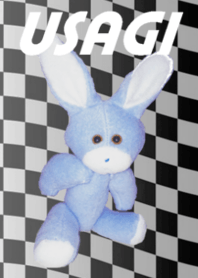 He is the USAGI rabbit.