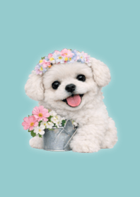 Spring Plush Poodle 2 Green 07