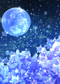 Hydrangea and the night sky