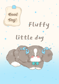 Fluffy little dogs3