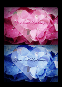 ～Rain and Hydrangea～ 19 #fresh