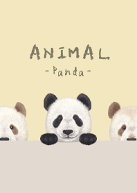 ANIMAL - Panda - CREAM YELLOW