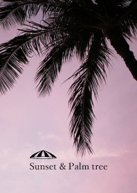 sunset and palm tree.