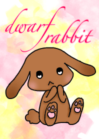 dwarf rabbit