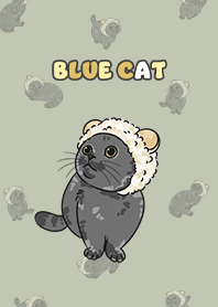 bluecat2 - mist green .jp