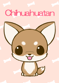 Chihuahua tan