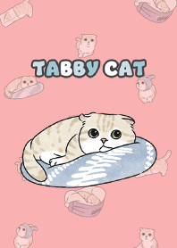 creamtabby3 - coral