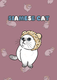 siamesecat6 - dusty rose .jp