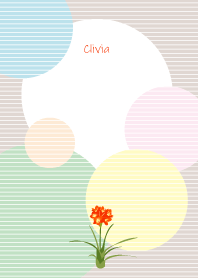 March's birth flower,Clivia.