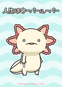 人生はウーパールーパー着せかえ
