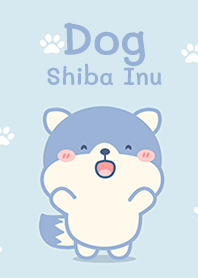 Dog : Shiba Inu!