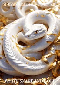 White snake and gold  Lucky 05