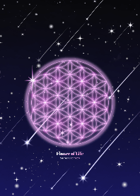 全ての運気アップ✿フラワーオブライフVer.7