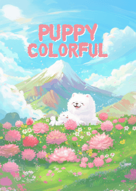 Samoyed the dog_2