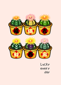 행운의 화분 식물(사쿠라 핑크)