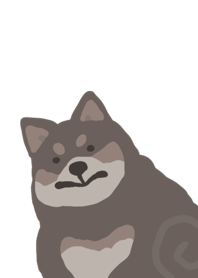 little mame Shiba