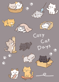 Greige Cozy, Sweet & Fluffy Kittens
