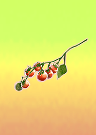 Summer Tomato Yellow Green