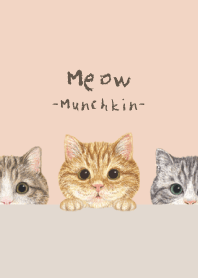 Meow - Munchkin - SHELL PINK
