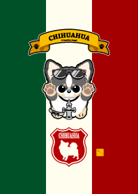 Chihuahua Black
