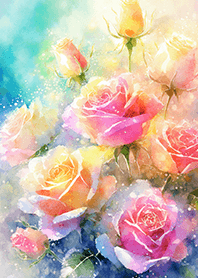 Beautiful rose flower(R1371)