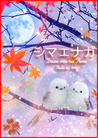 Long-tailed tit and clover autumn*