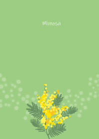 April birth flower,Mimosa.