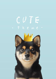 CUTE! - Shiba Inu BK - crown/light blue