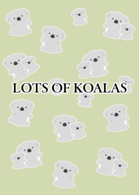LOTS OF KOALAS-DUSTY GREEN TEA