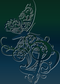 ~Butterfly initial P~