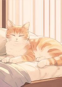 午後の部屋 ベッドでお昼寝する猫3.1.1