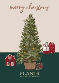 PLANTS(4)-merry christmas