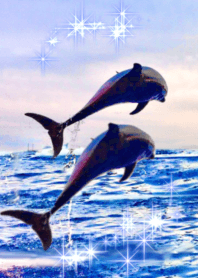 Shiny lucky dolphins sea