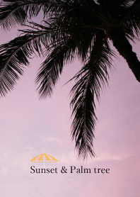 sunset and palm tree 19