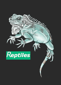 ENOGU REPTILES 爬虫類 着せ替え