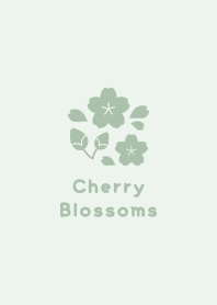 Cherry Blossoms6<Green>