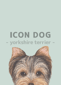 ICON DOG - Yorkshire terrier - GR/02
