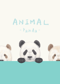 ANIMAL - Panda - AQUA GREEN