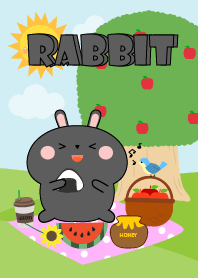 Happy Black Rabbit Picnic Theme (JP)
