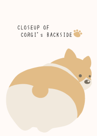 CLOSEUP OF CORGI's BACKSIDEj-CREAM PINK