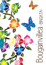 Bougainvillea -BINGATA-(white)