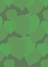 Hazel tree