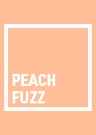 Fashion color "PEACH FUZZ"