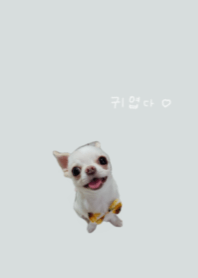 miruru4
