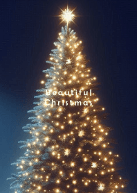 Beautiful Christmas-NAVY ORANGE- 6